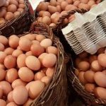 டுபாய் சொக்லேட் மோகம் – உலகளவில் பிஸ்தாவுக்கு கடும் பற்றாக்குறை