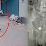 “டிமாண்டி காலனி 3″ வெளிவந்த லேட்டஸ்ட் தகவல்
