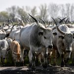 ஈரான் அணுசக்தி ஒப்பந்தத்திற்கு உடன்படவில்லை என்றால் இராணுவ பலத்தைப் பயன்படுத்துவதாக டிரம்ப் மிரட்டல்