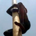தென் அமெரிக்காவை உலுக்கி வரும் மஞ்சள் காய்ச்சல்!