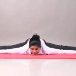 நைஜீரியாவில் 5 ஆயிரம் அரியவகை எறும்புகள் கடத்தல் – 2 சிறுவர்கள் கைது
