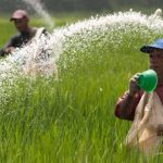 பாரிஸில் இஸ்லாமிய வெறுப்புக்கு எதிராக போராட்டங்கள்