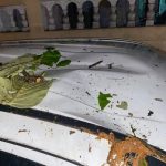 பொது இடங்களில் புகை பிடிக்க தடை விதித்த பிரான்ஸ்