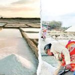 ஆஸ்திரேலியா பழைய டாங்கிகளை உக்ரைனுக்கு அனுப்புவதாக அமெரிக்கா குற்றச்சாட்டு