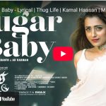 இந்தியாவில் ஆசிய சிங்கங்களின் எண்ணிக்கை ஐந்து ஆண்டுகளில்  அதிகரிப்பு!