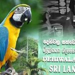 ஸ்பெயினில் அரசாங்கத்திற்கு எதிராக பல்லாயிரக்கணக்கான மக்கள் ஆர்ப்பாட்டம்