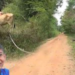 ஈரானில் உள்ள இந்திய மாணவர்கள் இடமாற்றம்
