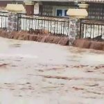 இலங்கை – நாமலை கைது செய்ய நீதிமன்றம் உத்தரவு!