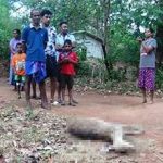 கொடிய தாக்குதல்களை ஆரம்பித்த ரஷ்யா – மேற்குலக நாடுகளுக்கும் எச்சரிக்கை!