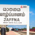 இலங்கையில் சோகம் – குழந்தையின் உயிரை பறித்த தேங்காய்
