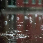 முன்னாள் ஜனாதிபதி ரணிலை சிங்கப்பூர் கொண்டு செல்ல ஆலோசனை
