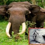 78 கோடி மதிப்புள்ள வீட்டை வாங்கிய நடிகை க்ரித்தி