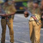 பிரஸ்ஸல்ஸில் எலிகள் பிரச்சினையைச் சமாளிக்க ஃபெரெட்டுகளைப் பயன்படுத்த பரிசீலனை!