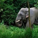 ஏமன் அருகே படகு மூழ்கியதில் 20க்கும் மேற்பட்ட புலம்பெயர்ந்தோர் பலி, டஜன் கணக்கானோர் மாயம்
