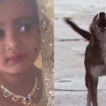 நாடாளுமன்ற கட்டிடத்திற்குள் பின்லாந்து சட்டமன்ற உறுப்பினர் தற்கொலை