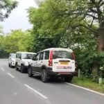 செக் மிருகக்காட்சிசாலையில் பிறந்த அரிய வகை சிங்கங்கள்