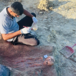 ரஷ்யாவிற்கு வருகை தருமாறு வட கொரிய அதிபர் கிம்க்கு புடின் அழைப்பு