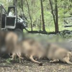 மகாராஷ்டிராவில் வரதட்சணை கொடுமையால் 23 வயது பெண் தற்கொலை