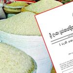 தினசரி 7,000 அடிகள் நடந்தால் போதும் – புதிய ஆய்வில் வெளியான தகவல்!