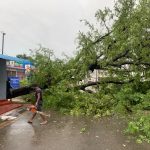 புதுக்குடியிருப்பில் முழுமையான கதவடைப்பு – மாவீரர்களுக்கு மரியாதையுடன் அஞ்சலி