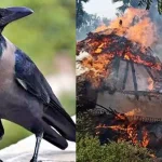 வரவு செலவுத் திட்டத்தில் வரலாற்றுச் சாதனை – ஜனாதிபதியின் செலவுகள் குறித்த குற்றச்சாட்டு