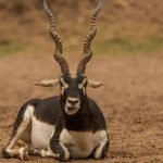 உக்ரைனில் ரஷ்ய தாக்குதல்களில் ஐந்து பேர் உயிரிழப்பு