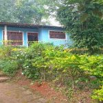 அமெரிக்காவில் பறவை காய்ச்சலுடன் சற்று வேறுபட்ட வைரஸ் தொற்றால் பாதிக்கப்பட்ட நபர்!