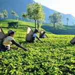 சூடான் உள்நாட்டு மோதல் – ஆயுத விநியோகத்தை முடக்க அமெரிக்கா வலியுறுத்தல்!