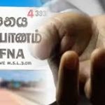 பௌத்த மதத்திற்கு எதிராக செயல்படும் அரசாங்கம் – நாமல் குற்றச்சாட்டு!