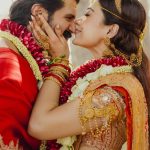 அச்சுவேலியில் 9 மாடுகளை கடத்தியவர் கைது!