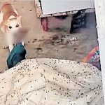 எரிபொருள் தட்டுப்பாடு இல்லை: விவசாயிகளே இடைத்தரகர்களிடம் சிக்காதீர்!