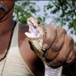 ஈரானின் ராணுவ இலக்குகள் வெற்றிகரமாக தகர்ப்பு!