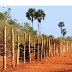 விரைவில் மாகாணசபைத் தேர்தல்: அரசின் நிலைப்பாடு அறிவிப்பு!