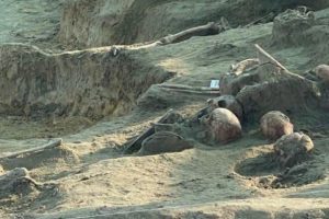 ஜனாதிபதி, பிரதமருக்கிடையில் பனிப்போர்?