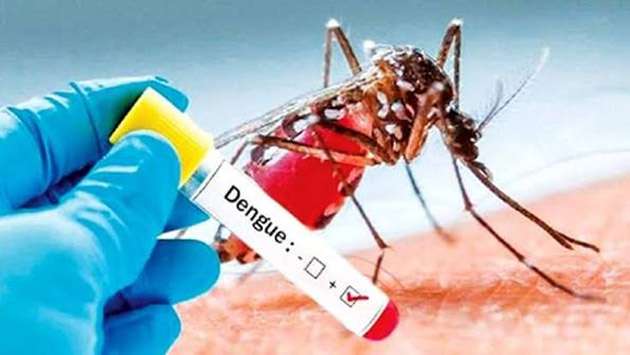 இந்த ஆண்டில் இதுவரை பதிவாகியுள்ள 47,179 பேர் டெங்குநோயினால் பாதிக்கப்பட்டுள்ளனர். டெங்கு நோயினால் 28 பேர் உயிரிழந்துள்ளனர்.