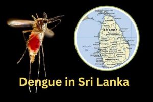 22 ஆவது அரசமைப்புத் திருத்தச்சட்டமூலம் குறித்துப் பேராயருக்கு விளக்கமளிப்பு!