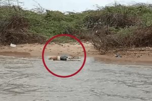மாணவர் விசா விதிகளை கடுமையாக்கியது பிரித்தானியா