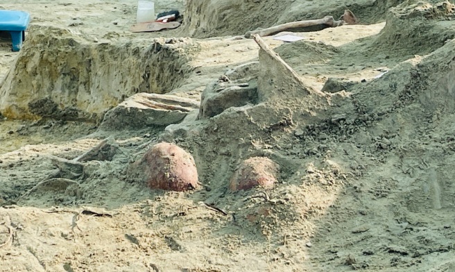யாழ்ப்பாணம், செம்மணி மனிதப் புதைகுழி அகழ்வில் இன்று மேலும் 07 மனித எலும்புக்கூடுகள் அடையாளம் காணப்பட்டுள்ளன.