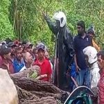 முதியோர் இல்ல தீ விபத்து: பலி எண்ணிக்கை 12 ஆக அதிகரிப்பு! பணிப்பாளர் கைது!