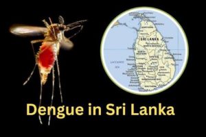 பிரித்தானிய முன்னாள் அமைச்சர் படுகொலை: கைதான சந்தேக நபர் விடுவிப்பு