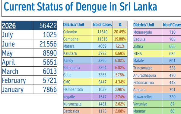 ஜுன் மாதத்தில் மாத்திரம் 21 ஆயிரத்து 556 பேர் பாதிக்கப்பட்டுள்ளனர் என தேசிய டெங்கு நோய் ஒழிப்பு பிரிவு தெரிவித்துள்ளது.