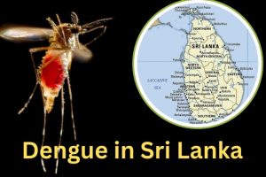 ஆஸ்திரேலியாவில் 2027 இக்குள் புதிய AI சட்டங்கள் அமுல்
