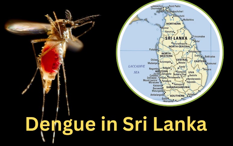 இலங்கையில் கடந்த ஜனவரி முதல் ஜுலை 15 ஆம் திகதிவரையான காலப்பகுதிக்குள் டெங்கு நோயால் 72 ஆயிரத்து 439 பேர் பாதிக்கப்பட்டுள்ளனர்.
