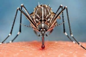 ஜென் Z தலைமுறையினருக்காக புதிய வீட்டுத்திட்டம் – பரன்ஹாம் பரிசீலனை