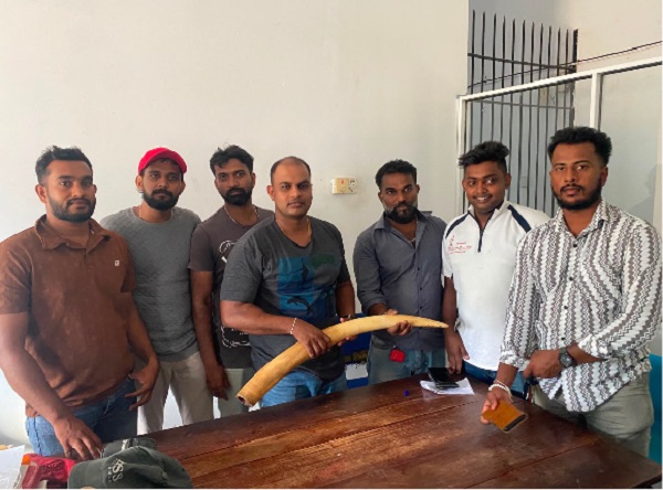 திருகோணமலை நிலாவெளி வள்ளுவர் வீதியில் வீடு ஒன்றில் யானை தந்தங்களை வைத்திருந்த நபரொருவரை விசேட பொலிஸ் அதிரடிப்படையினர் புதன்கிழமை (15) கைது செய்துள்ளனர்.
