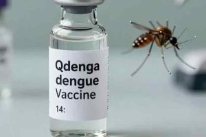 சிறைச்சாலை கட்டமைப்பில் சீர்திருத்தம்: துறைசார் அதிகாரிகளுடன் ஜனாதிபதி ஆலோசனை