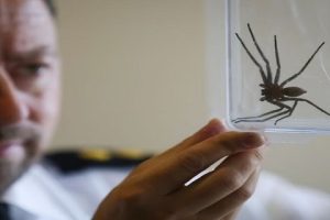 இலங்கை முதலீட்டுச் சபைக்கு புதிய பணிப்பாளர் நியமனம்