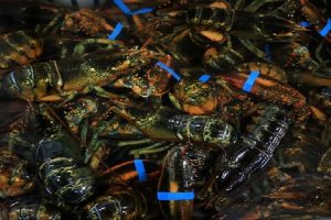 மீட்பு பணி தீவிரம்: 5,000 இற்கு மேற்பட்ட படையினர் களமிறக்கம்