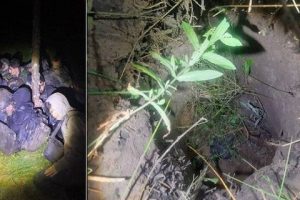 இந்திய – பங்களாதேஷ் கிரிக்கெட் தொடர்: தடையை தகர்க்க ராஜதந்திர முயற்சி