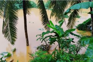 நைஜீரியாவில் ஆயுதமுனையில் கடத்தப்பட்ட பெண்கள் – 12 பேர் கொலை